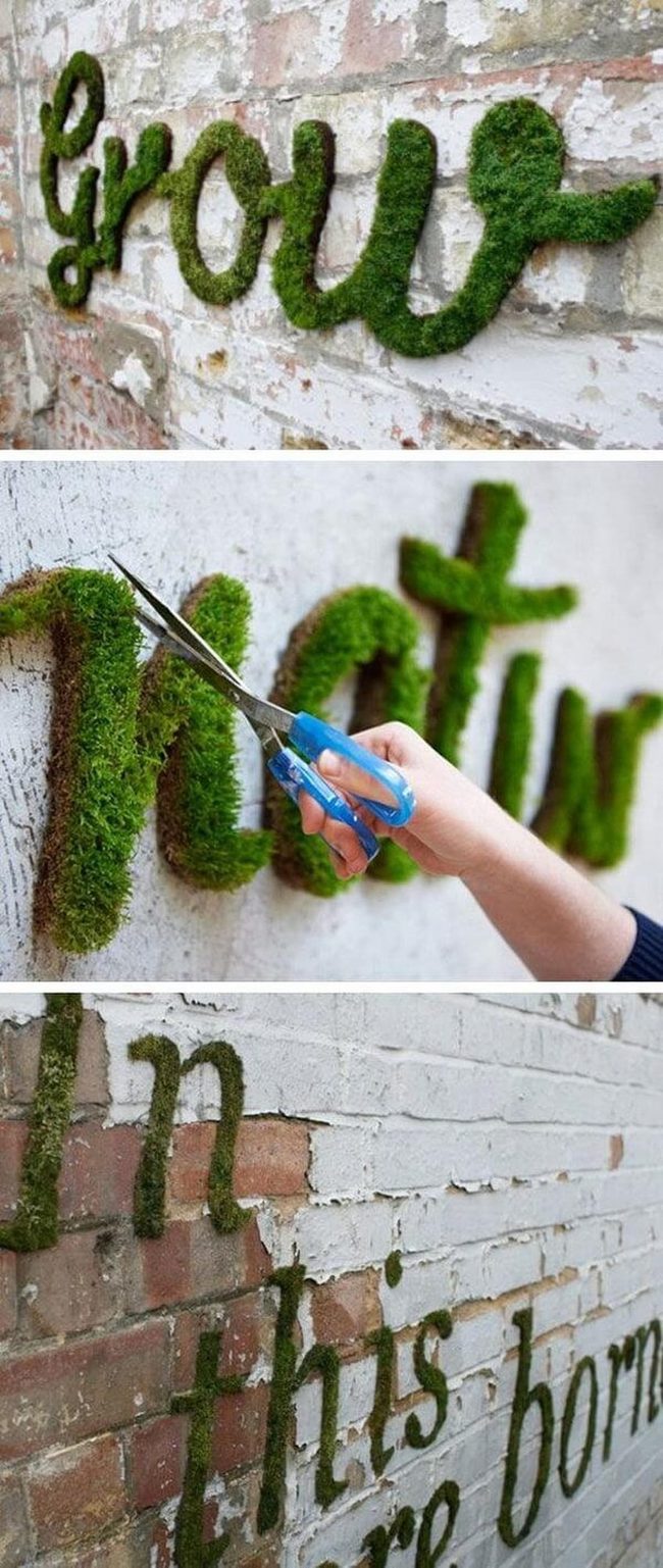 Living Moss Wall Letters