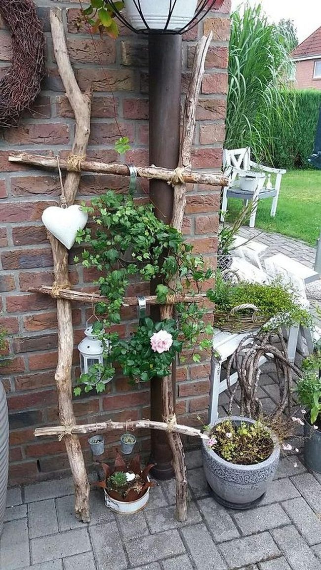 Pink Flowers Against Weathered Brick