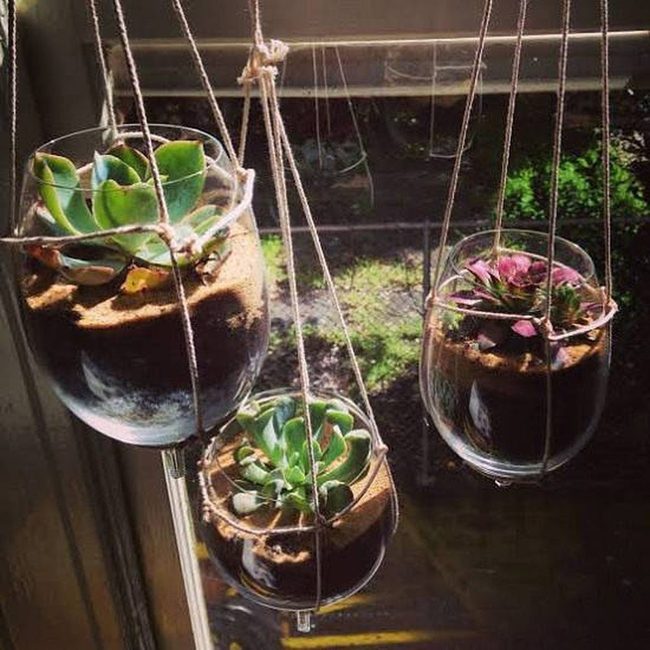 Hanging Succulents In Wine Glasses