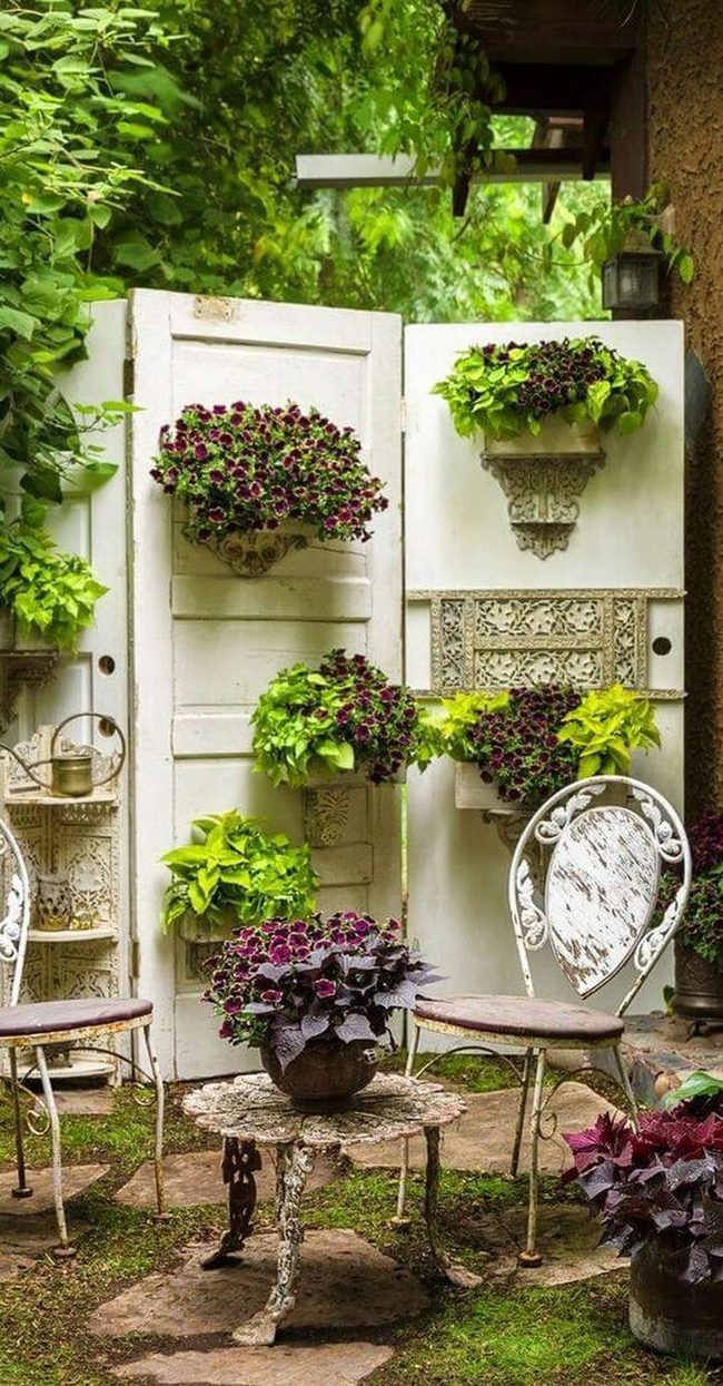 Vintage Door With Climbing Vines