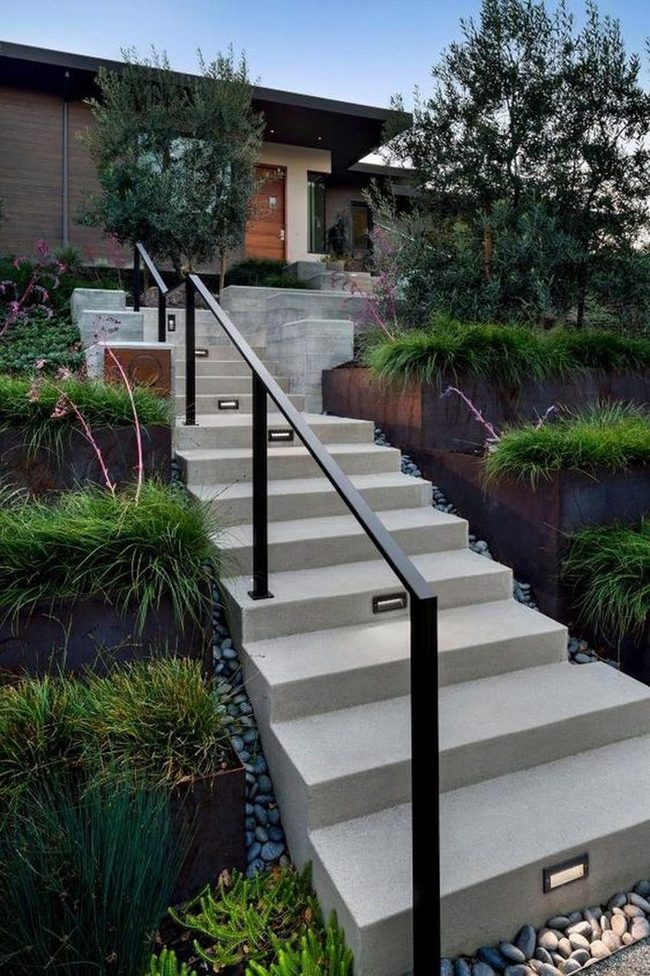 Green Canopy Meets Modern Entry