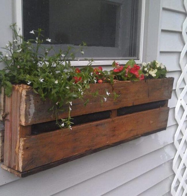 Blooming Pallets Against Warm Wood