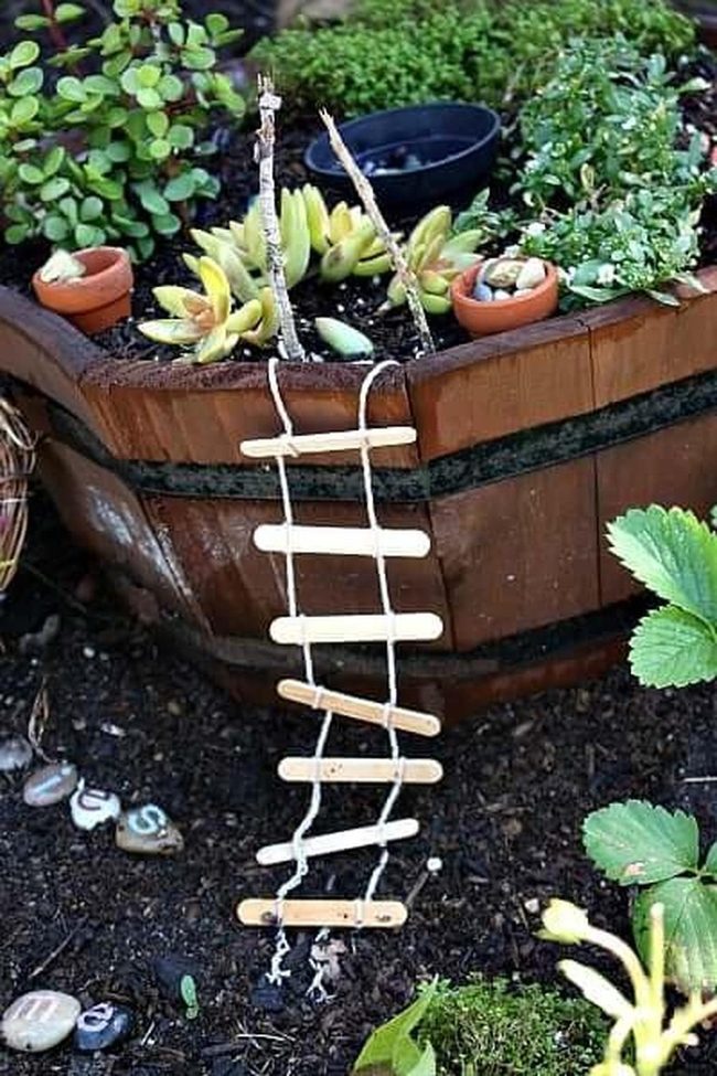 Miniature Garden With Living Plants