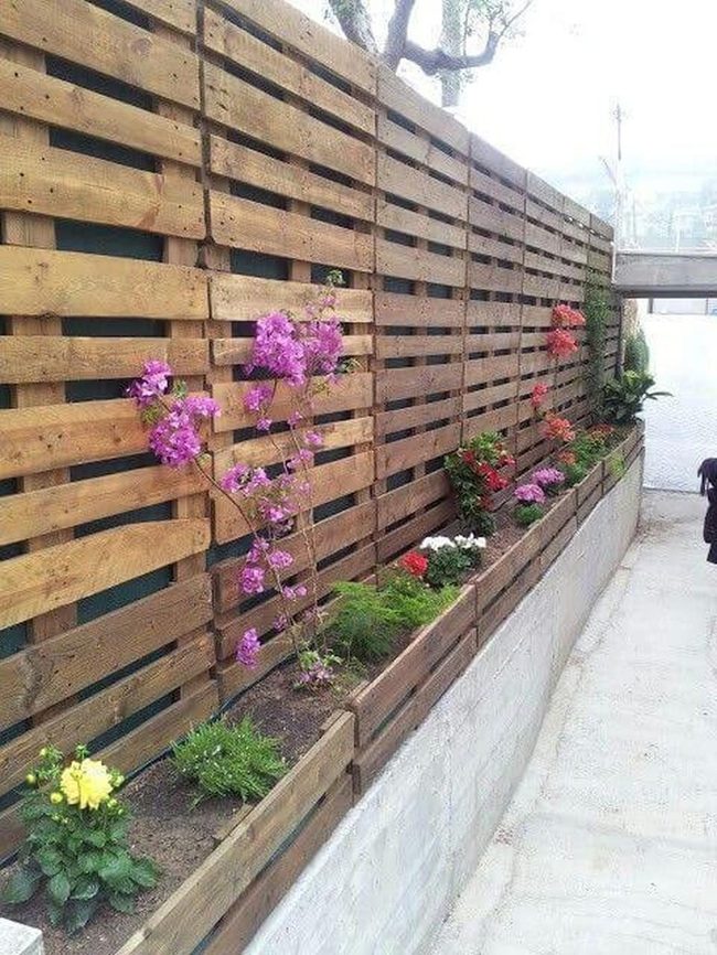 Wooden Slats With Blooming Borders