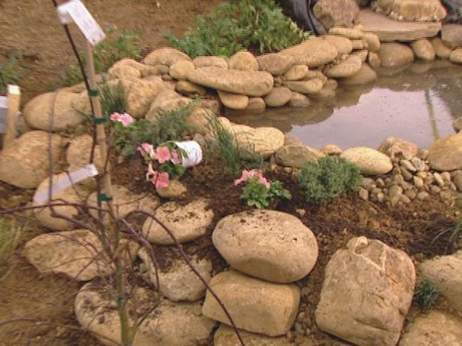 Layered Stone Garden Pond Pink