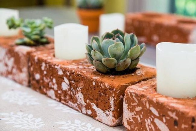 Succulents Glowing Against Warm Brick
