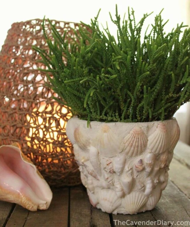 Shell-Covered Planter Coastal Sparkle