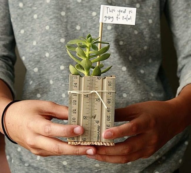 Vintage Rulers Hold Tiny Succulents