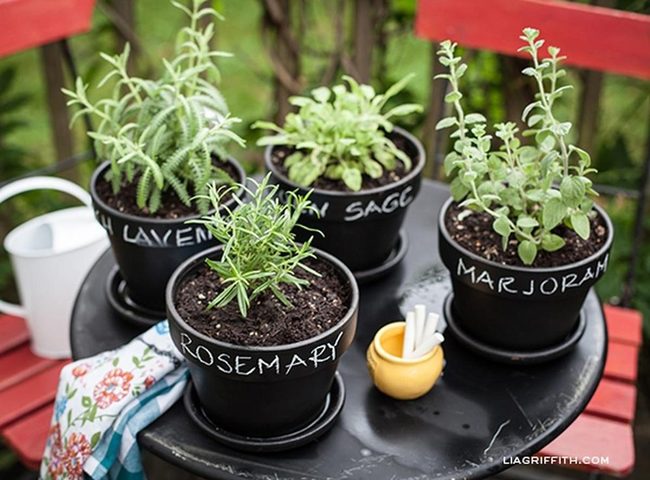 Black Ceramic Herbs With Yellow Pops
