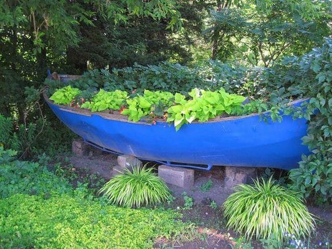 Blue Boat Garden Beds