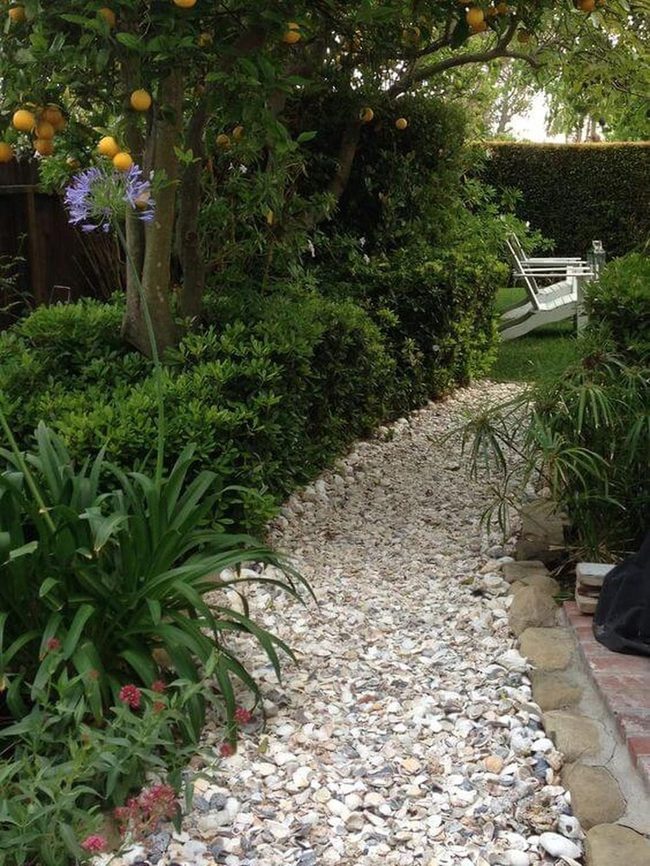Seashell Path Garden Walkway
