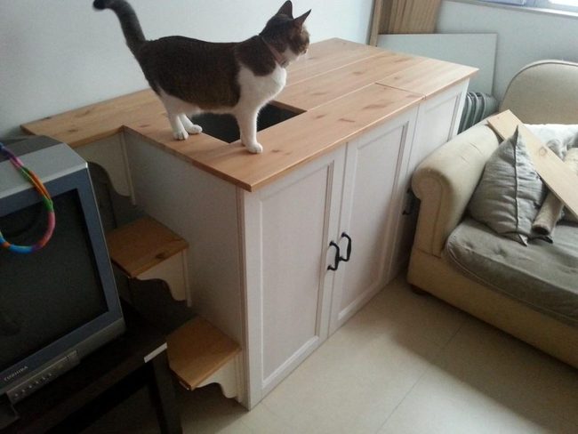White Cabinet With Natural Wood Steps