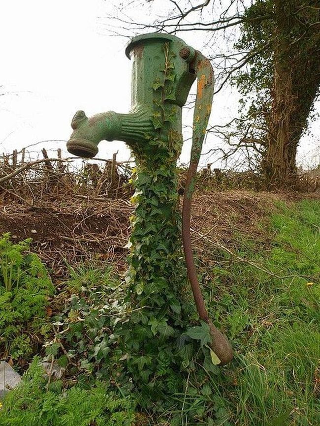 Overgrown Well Garden Anchor