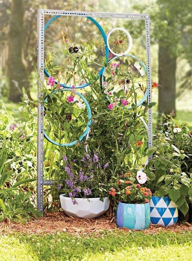 Bicycle Wheels Blue Flower Trellis