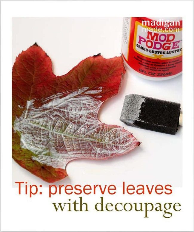 Real Leaves Sealed Forever