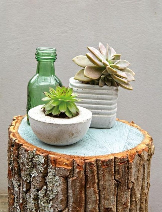 Green And Burgundy Desk Succulents