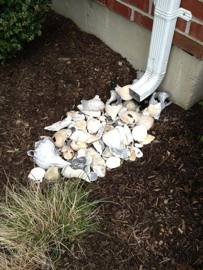 Coastal Shells Garden Accents