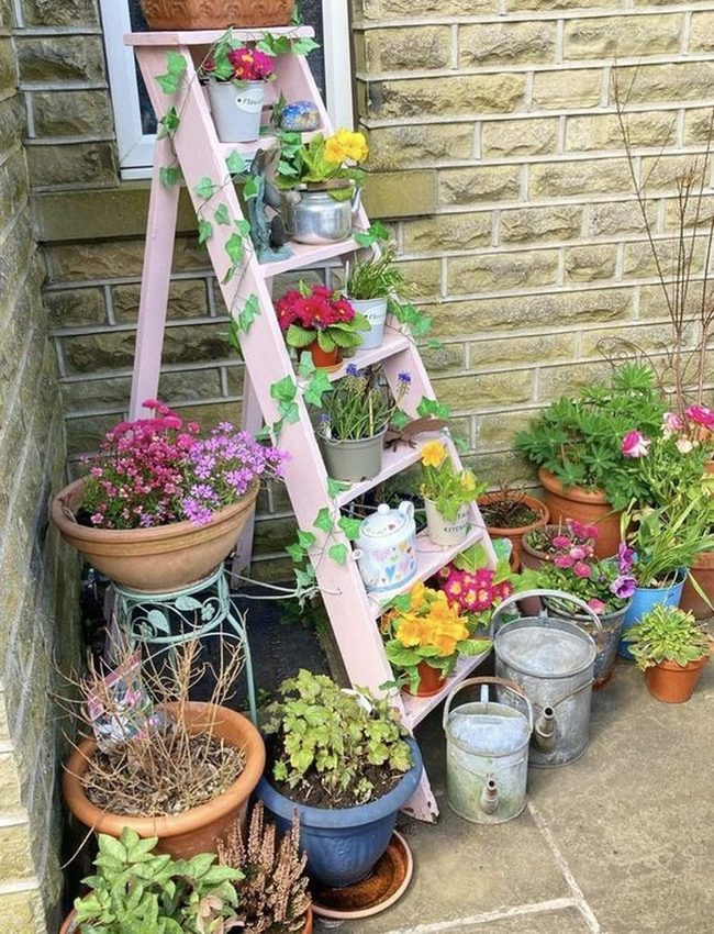 Colorful Pots Pink Ladder Garden