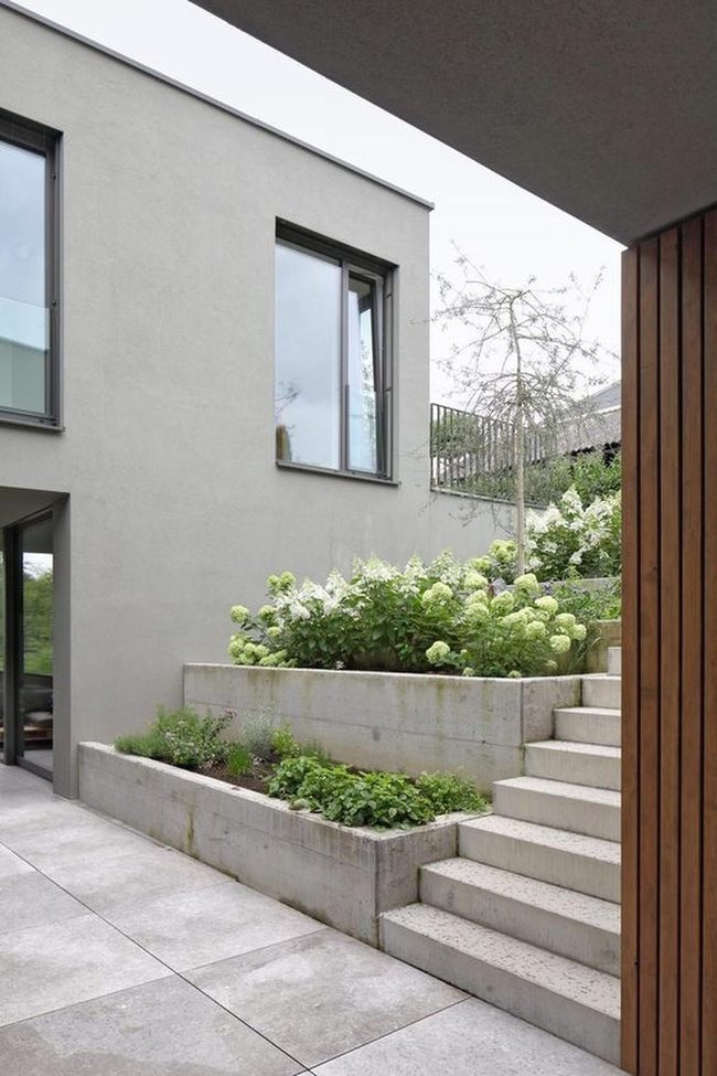 Gray Walls White Flowers Concrete