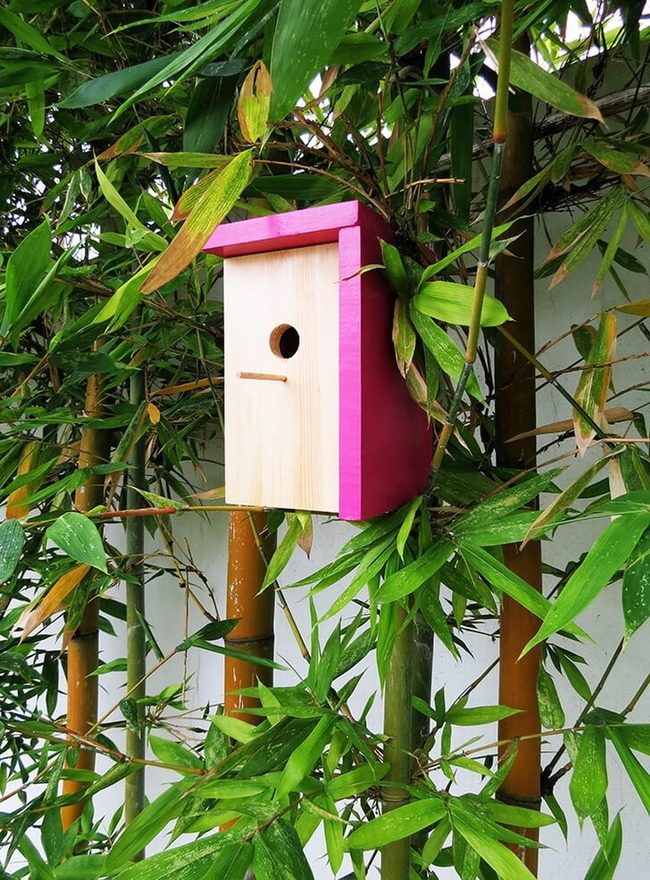 Fuchsia Roof Modern Birdhouse