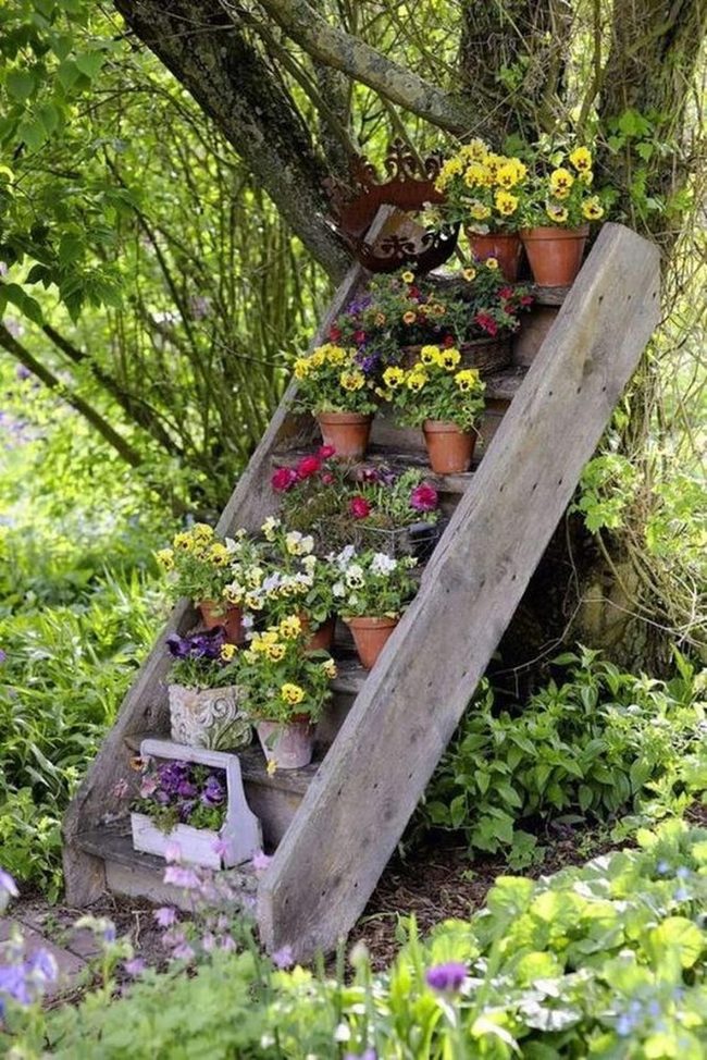 Wooden Stairs Blooming With Flowers