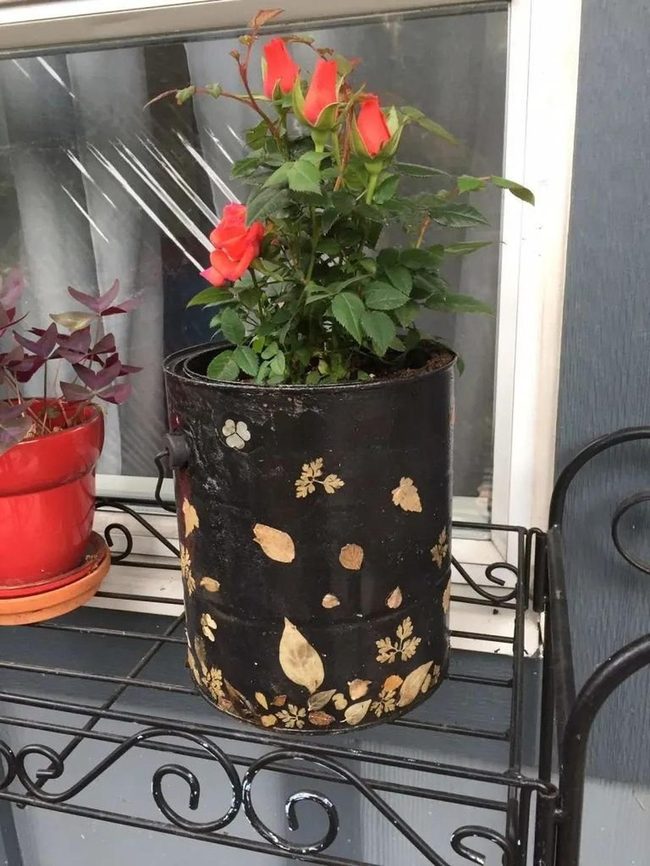 Painted Metal Cans Garden Display