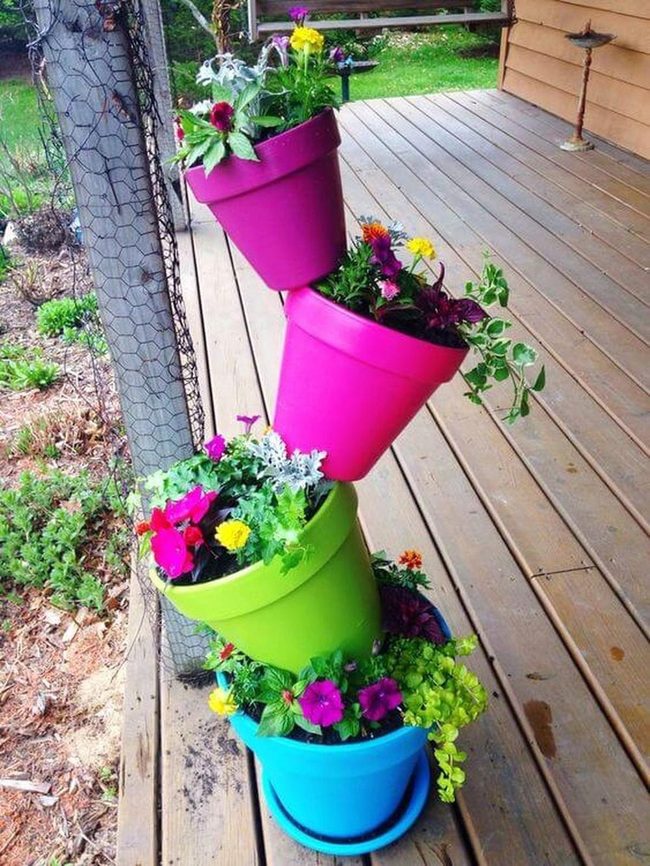Towering Pots Bold Blooms