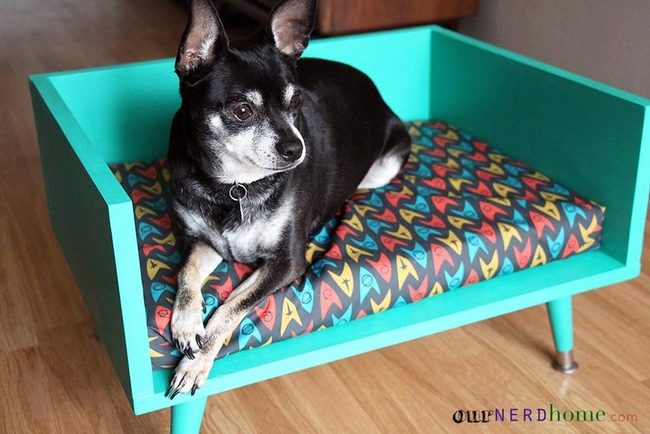 Elevated Wood Dog Bed Minimalism