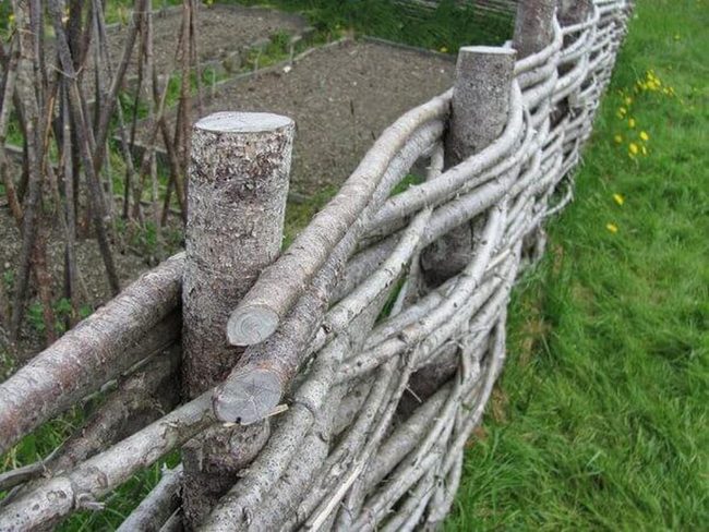 Woven Branch Fences Earth Tones