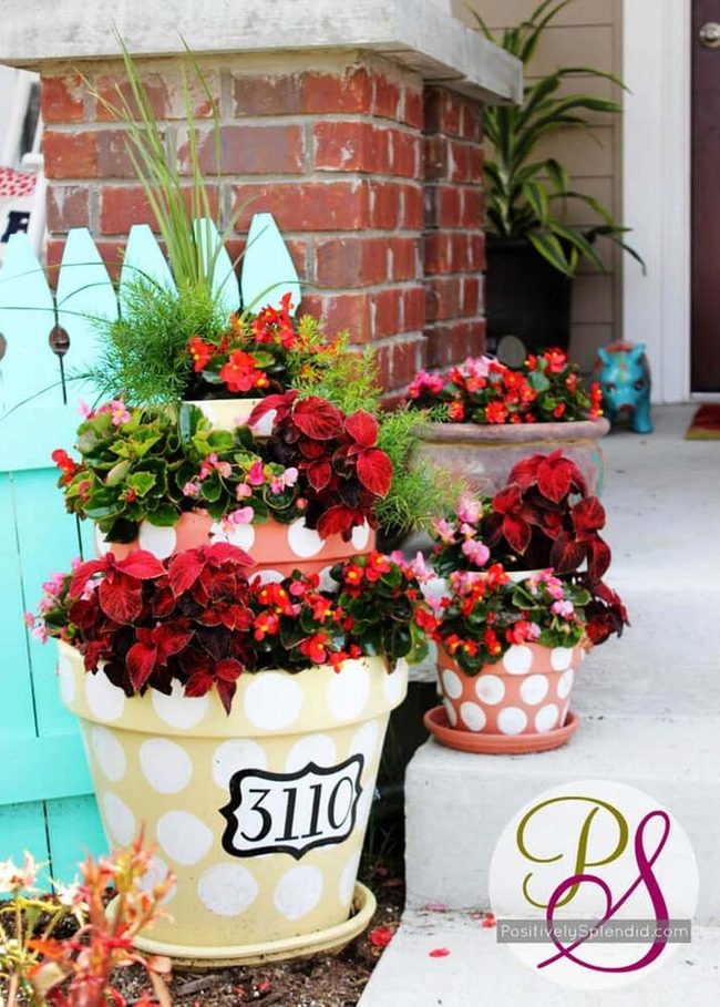 Polka Dot Terra Cotta Garden Pots