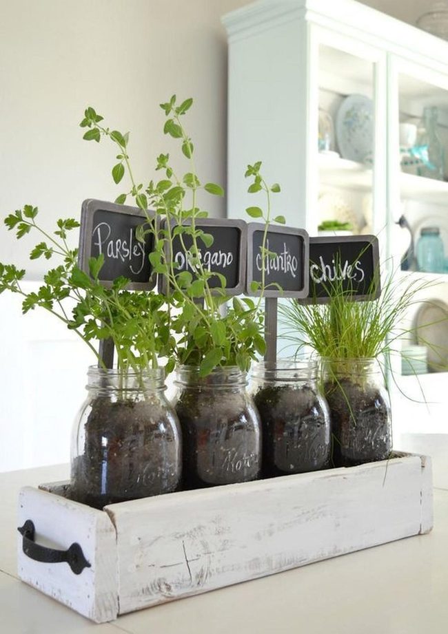 Fresh Herbs In Glass Jars