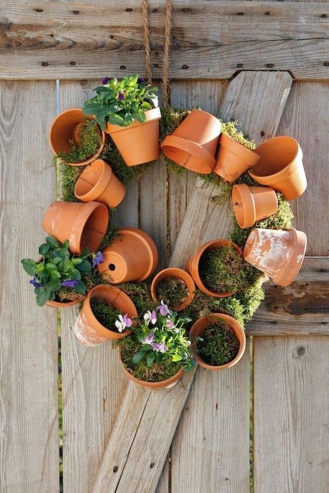 Terracotta Pots With Purple Flowers
