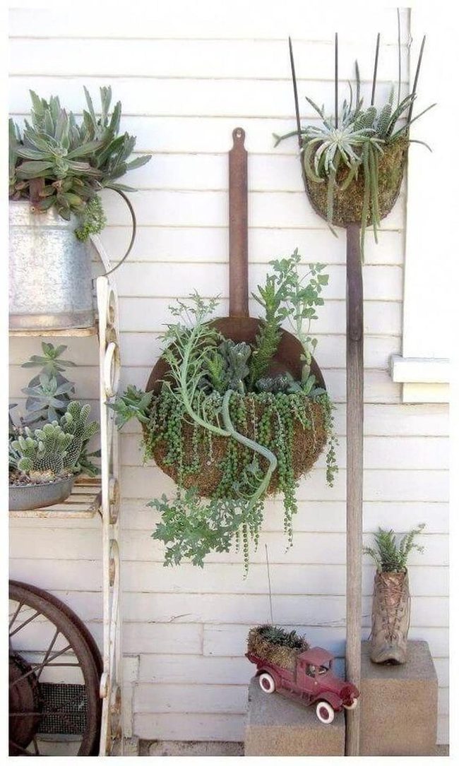 Weathered Tools Holding Cascading Succulents