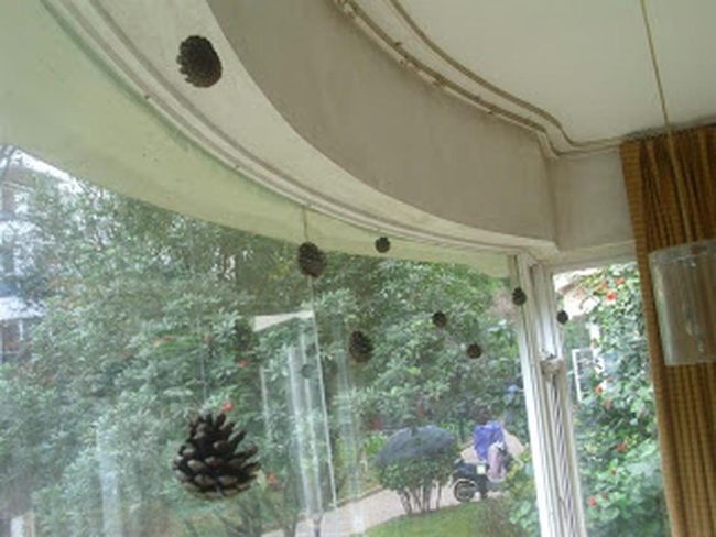 Curved Window Pinecone Brightness