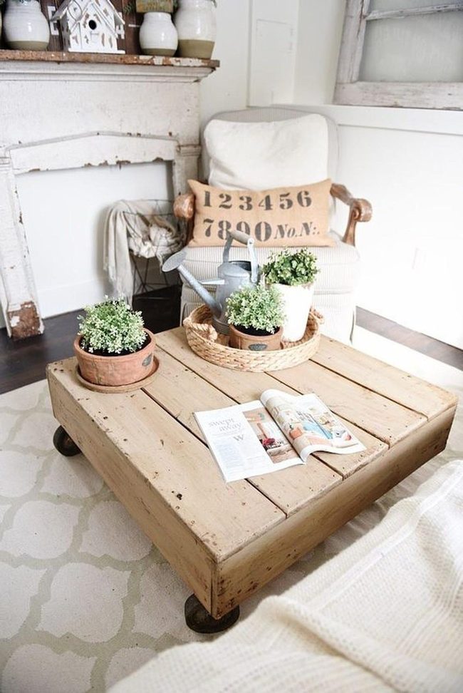 Natural Wood Coffee Table With Living Plants