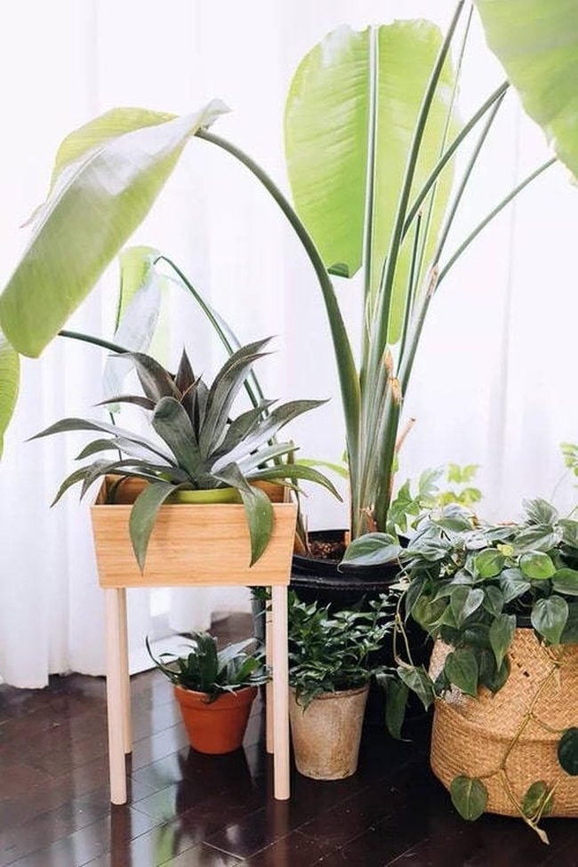 Bamboo Boxes Into Living Planters