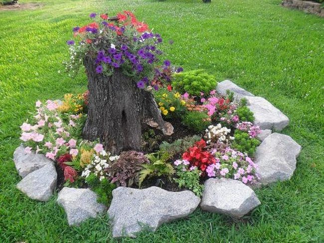 Weathered Stump Flower Cascade