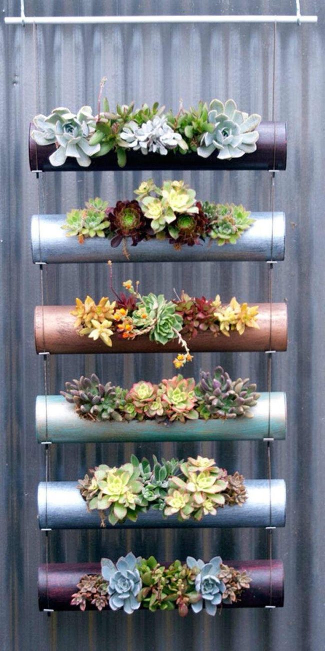 Colorful Pvc Pipe Succulents