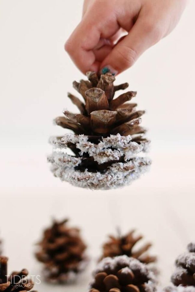 Glittered Pinecones Sparkle White