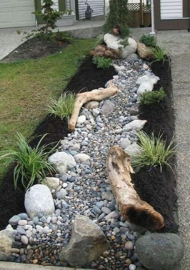 Dry Riverbed With Weathered Branches