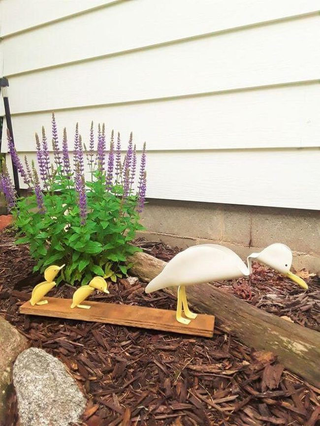 White Duck Family Parade