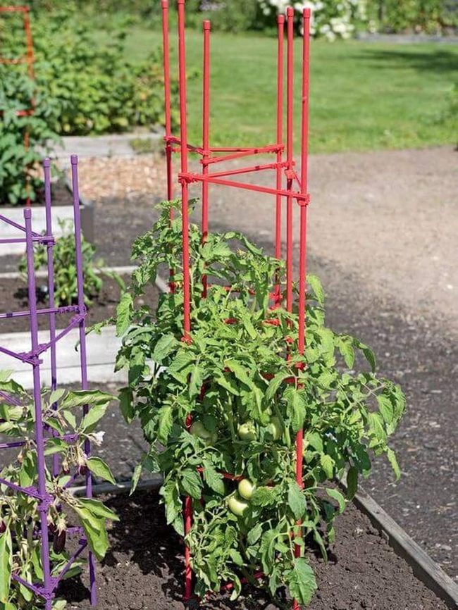 Red Garden Support Structures