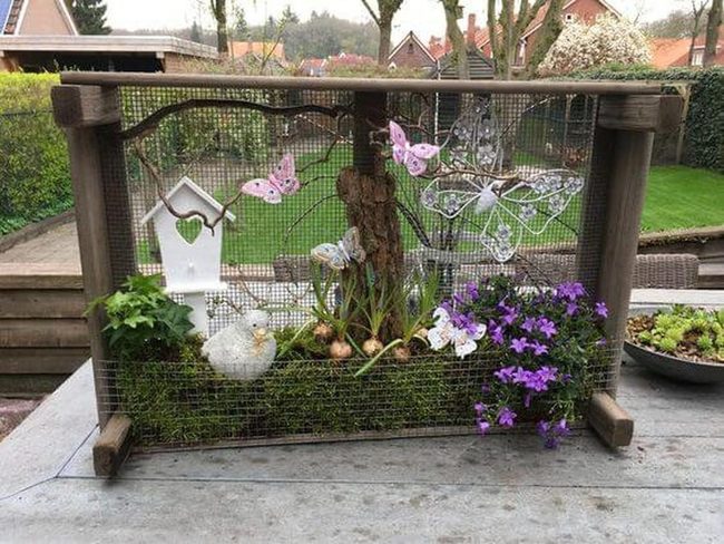 Purple Blooms Over Weathered Wood