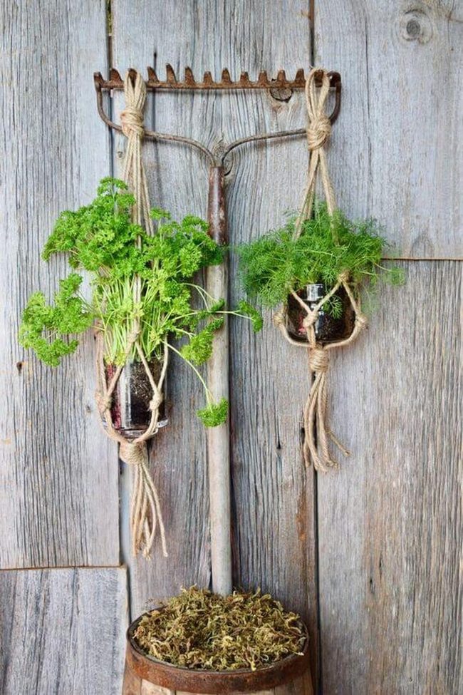 Hanging Herbs From Vintage Rake