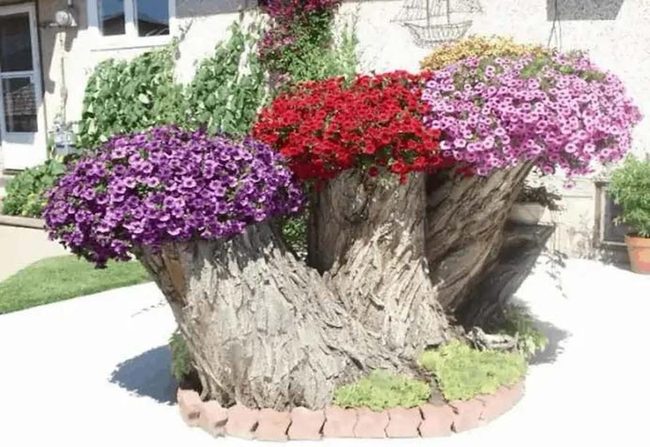 Hollowed Wood Planters With Height