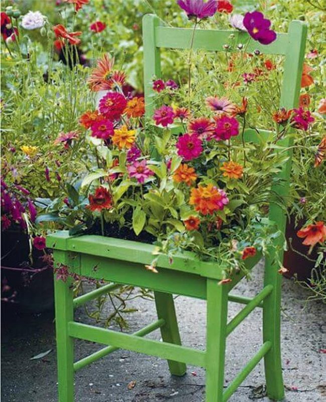 Green Chair Blooming Colorful Flowers