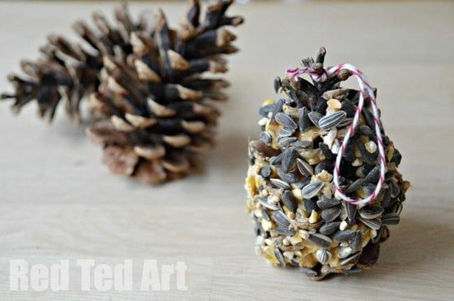 Pine Cone Peanut Butter Bird Feast