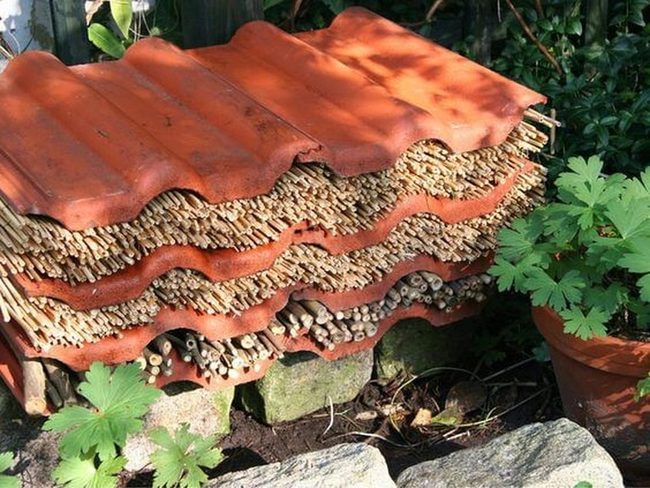 Stacked Wood Insect Hotel