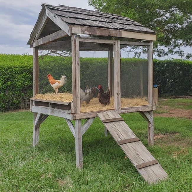 Rusty Alloy Frame Chicken Coop