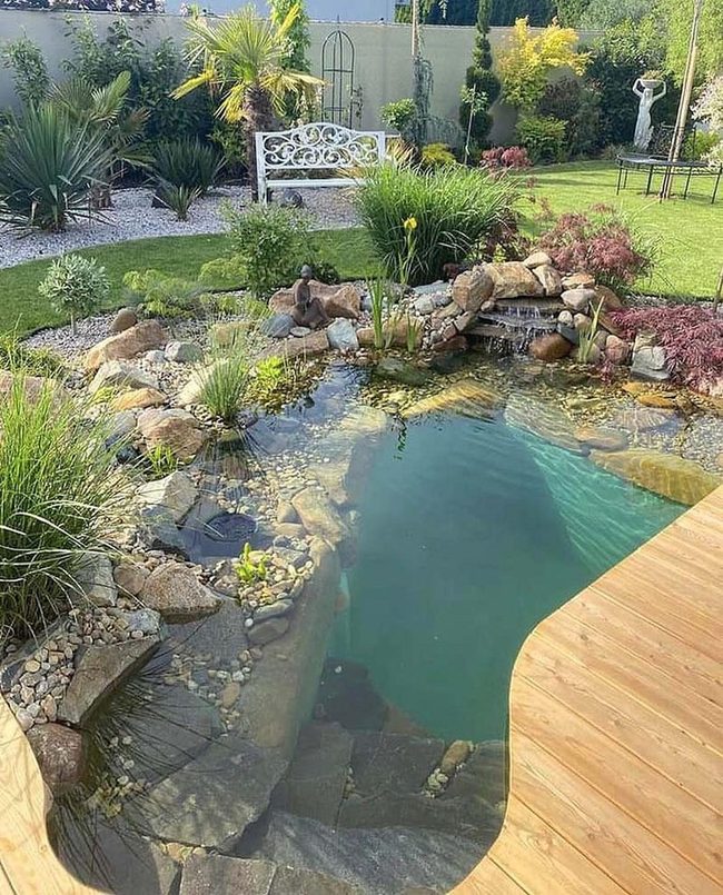 Backyard Pond Pool Oasis